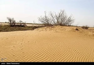 بیابان‌زایی در کرمان