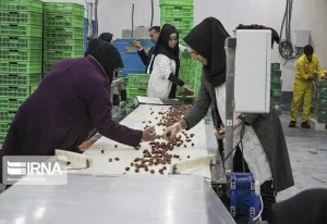 تعاونی‌های استان کرمان