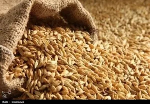 تعاون روستایی استان کرمان