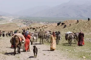 تعاونی‌های عشایری جنوب کرمان