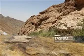 پوشش گیاهی خودرو در مسیر آبشار فیض‌آباد راور