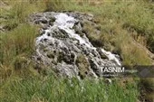 گوناگونی زیستی و محیطی آبشار فیض‌آباد راور