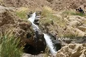 چشم‌انداز وسیع دره منتهی به آبشار فیض‌آباد راور