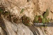 صخره‌های ستبر کویری در جوار آبشار فیض‌آباد راور