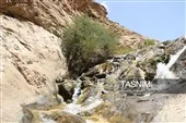 چشمه حیات و جریان پویا در آبشار فیض‌آباد راور
