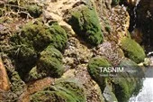 فضای مناسب بوم‌گردی در جوار آبشار فیض‌آباد راور