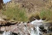 شکوه چشم‌نواز طراوت کویری در آبشار فیض‌آباد راور