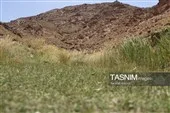 جذابیت‌های عکاسی در محیط آبشار فیض‌آباد راور