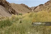 آبراهه‌های فرعی منشعب از آبشار فیض‌آباد راور