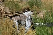 مقصد شاخص گردشگری استان کرمان آبشار فیض‌آباد راور
