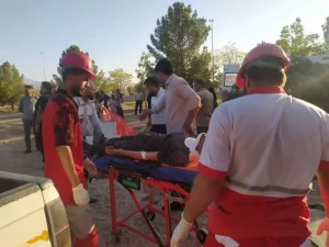 واژگونی وانت در محور هفت‌باغ کرمان
