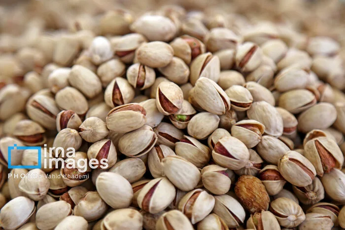 نشست بررسی موانع صادرات پسته و پیمان‌سپاری ارزی