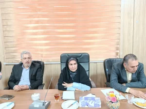 برنامه‌های فرهنگی جیرفت