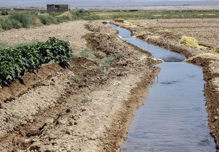 مزارع و باغات کشاورزی عنبرآباد در جنوب کرمان مزارع و باغات کشاورزی عنبرآباد در جنوب کرمان