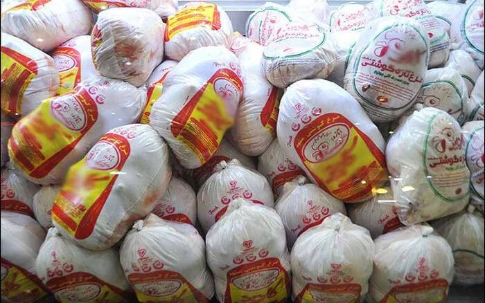 خرید تضمینی مرغ مازاد و ذخیره‌سازی مرغ در سردخانه‌های کرمان