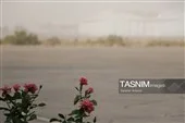 تصویر هوایی از غبار حاکم بر استان کرمان تصویر هوایی از غبار حاکم بر استان کرمان