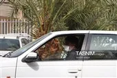 وضعیت بحرانی تنفس در معابر شهر کرمان وضعیت بحرانی تنفس در معابر شهر کرمان