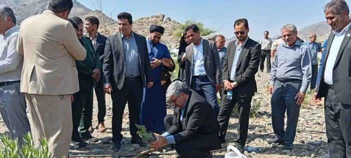 مشارکت عشایر در توسعه فضای سبز در جنوب کرمان و کاشت نهال
