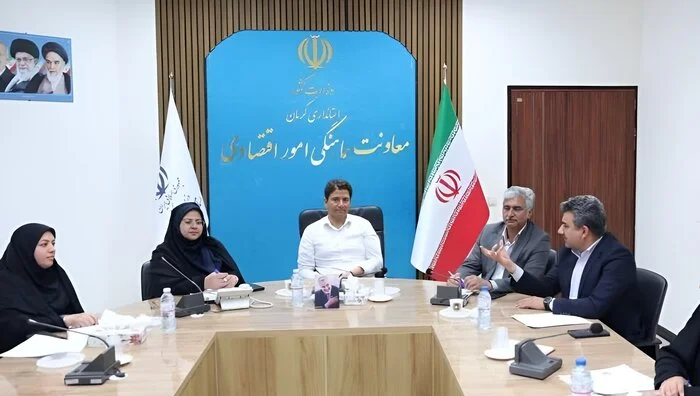 حمایت از مشاغل خرد و اشتغال بانوان استان کرمان