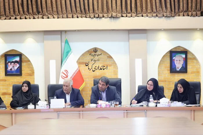 استاندار کرمان در نشست ستاد جوانی جمعیت درباره تأمین مسکن صحبت می‌کند